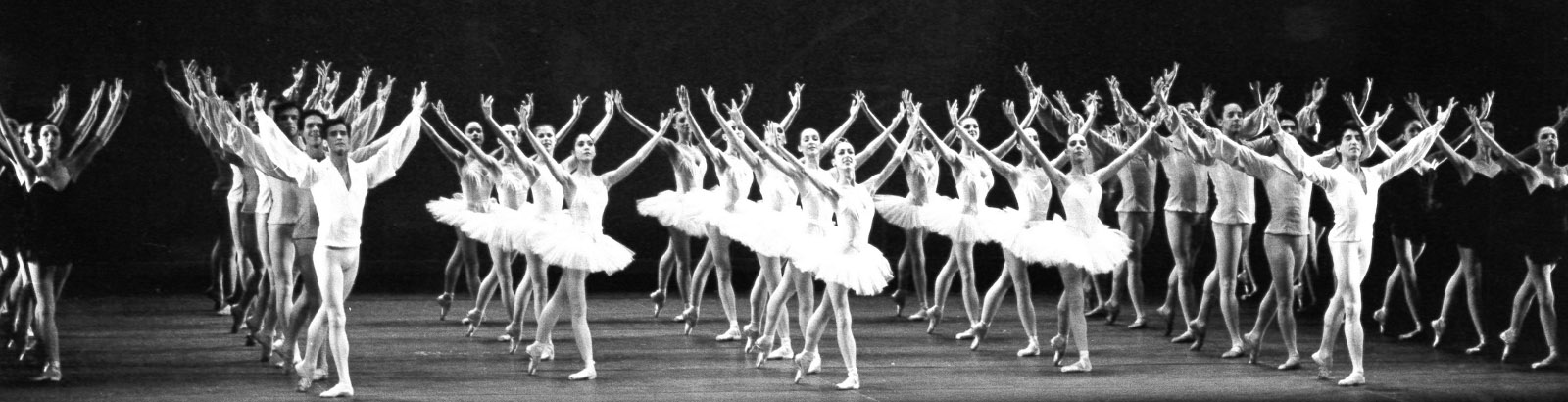 Ballet ' modern new unposted postcard by PSL 