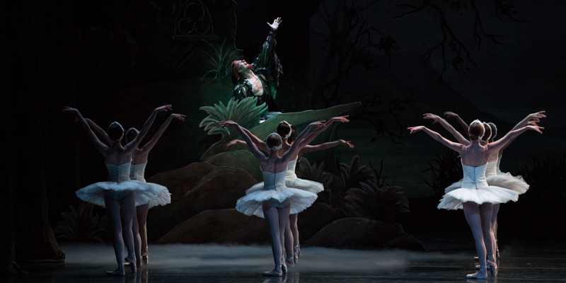 The Story of Swan Lake